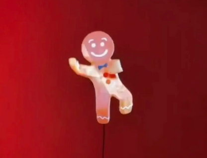 3D Hologram